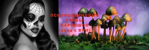 скорость mdpv Краснослободск