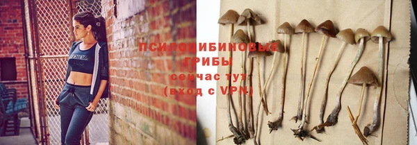 трава Куйбышев